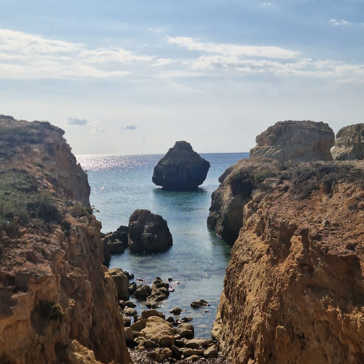 WhatsApp Image 2025-11-13 at 15.42.02